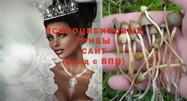 ALPHA PVP Надым